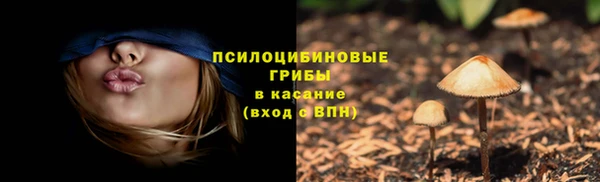 прущий лед Козловка