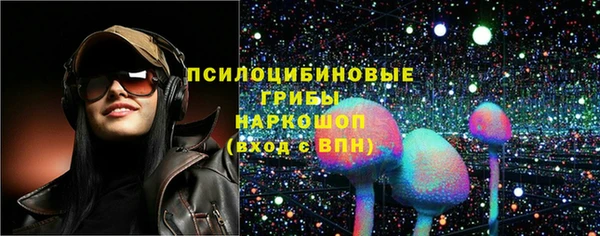 МДПВ Кодинск