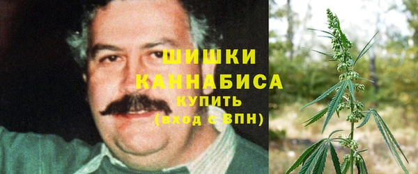 прущий лед Козловка